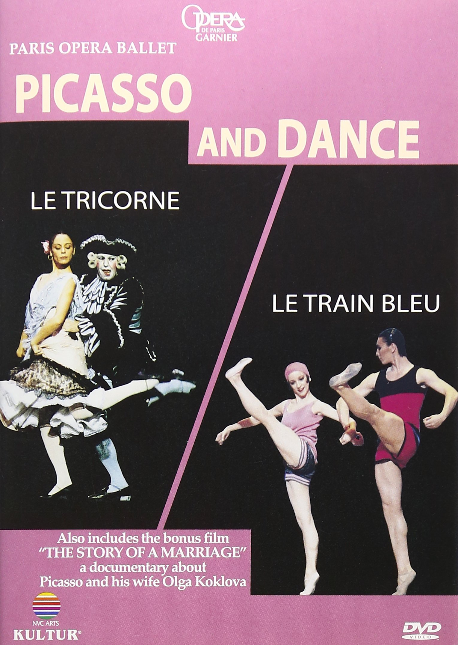 【中古】【非常に良い】Picasso & Dance & Le Train Bleu & Le Tricorne [DVD]｜ドリエムコーポレーション