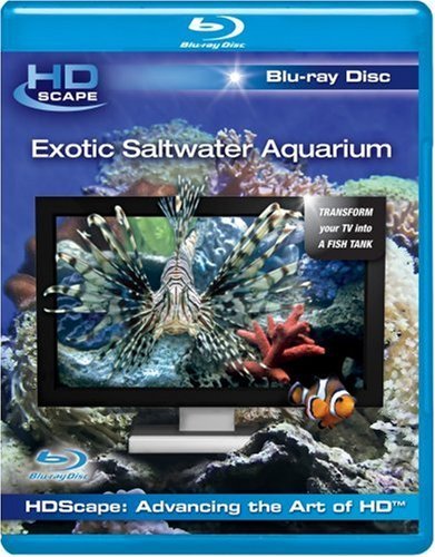 【中古】【非常に良い】Exotic Saltwater Aquarium [Blu-ray]｜ドリエムコーポレーション