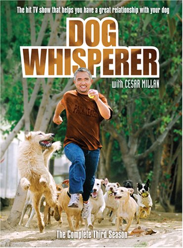 【中古】【非常に良い】Dog Whisperer With Cesar Millan: Comp Third Season [DVD]