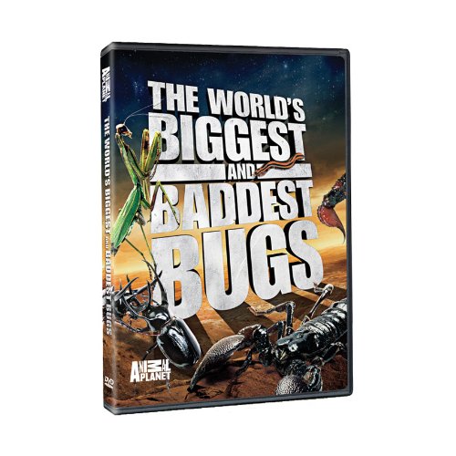 【中古】【非常に良い】Worlds Biggest & Baddest Bugs [DVD]