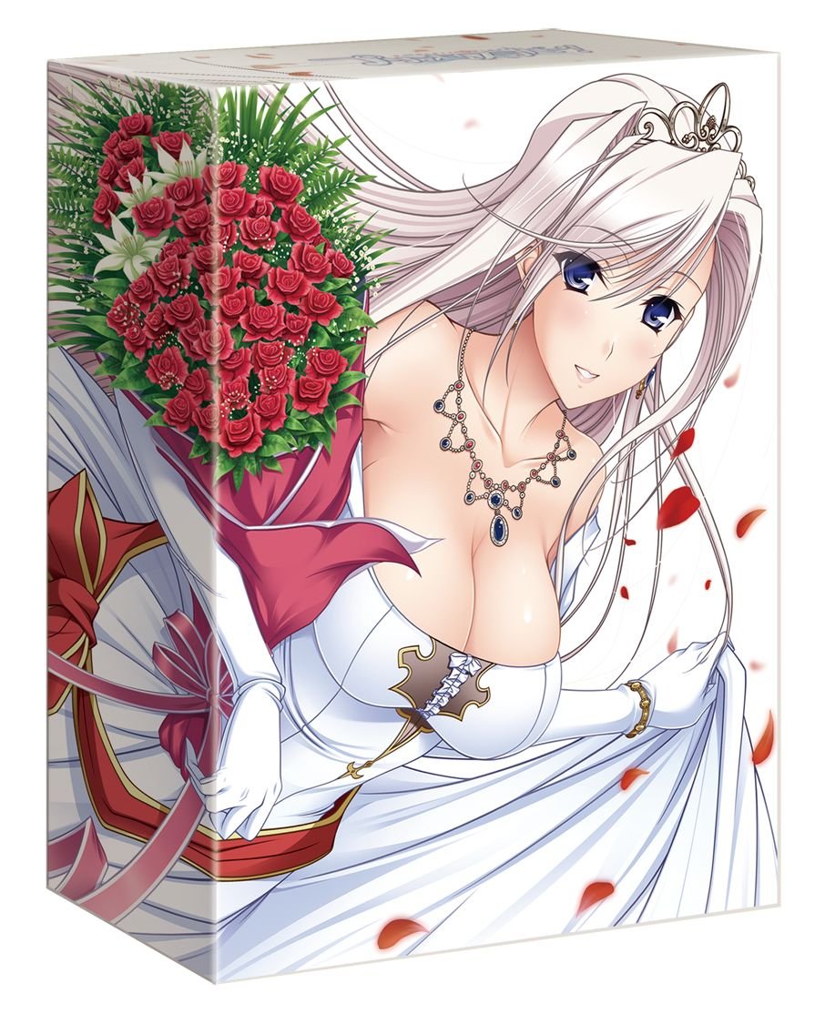 【中古】【非常に良い】プリンセスラバー!Blu-ray BOX