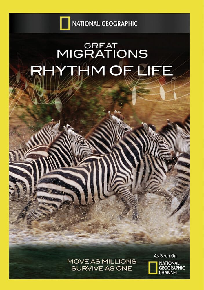 【中古】【非常に良い】Great Migrations: Rhythm of Life [DVD]