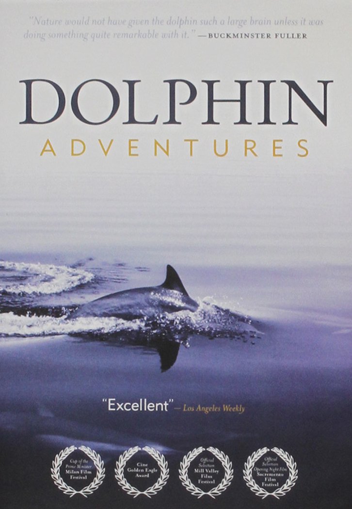 【中古】【非常に良い】Dolphin Adventures [DVD]