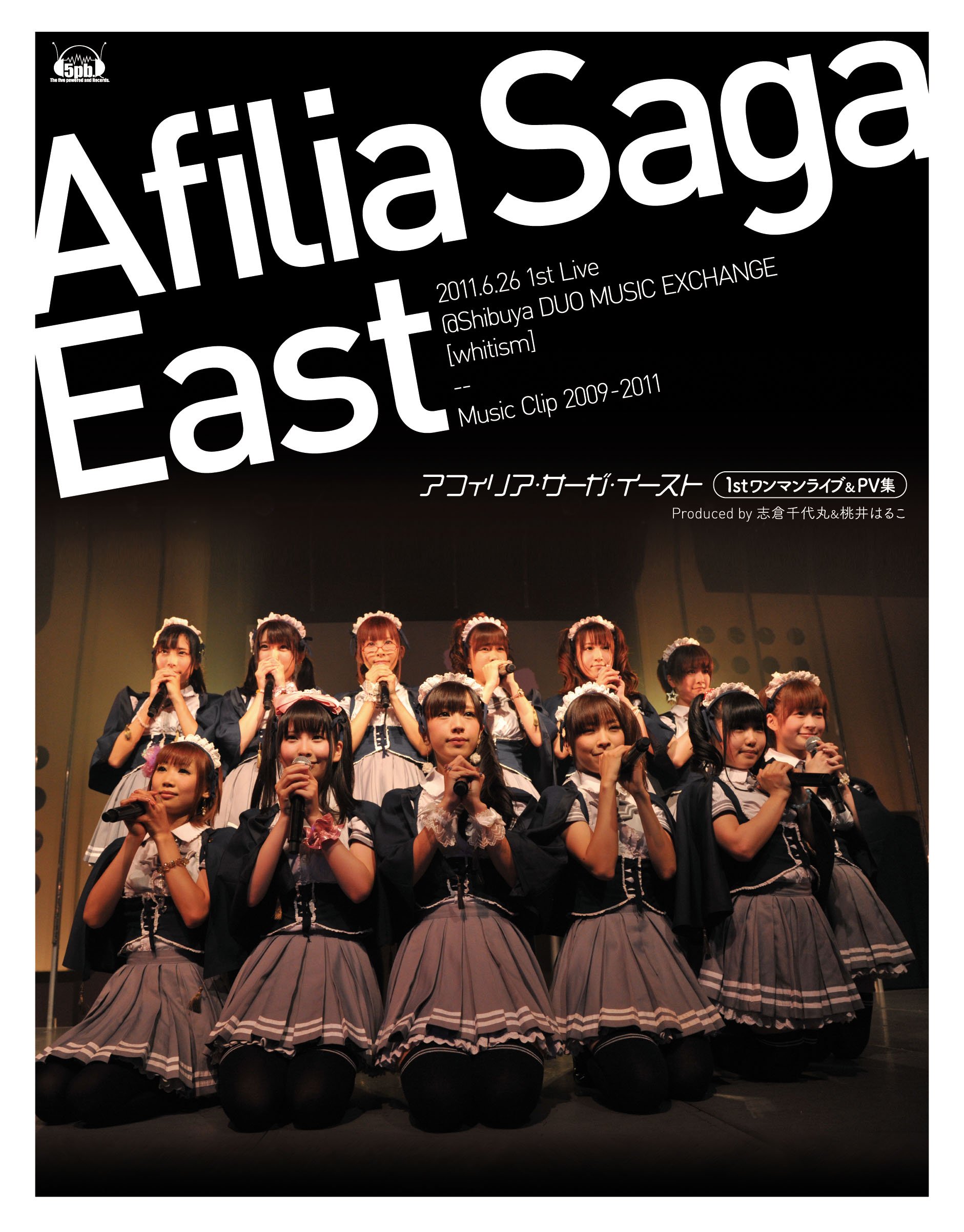 【中古】【非常に良い】アフィリア・サーガ・イースト ライブ&PV集 [Blu-ray] 8,482円