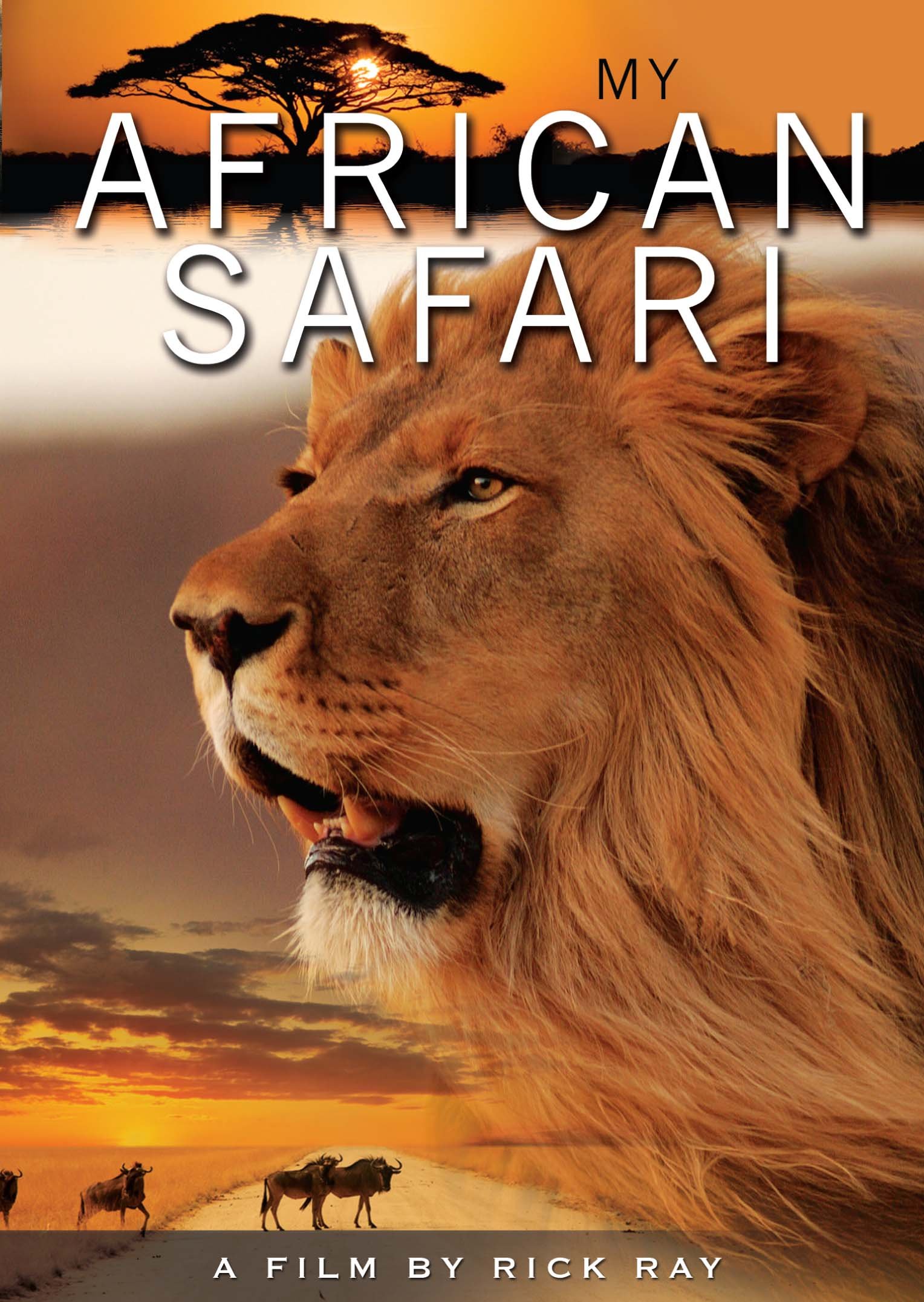 【中古】【非常に良い】My African Safari [DVD]