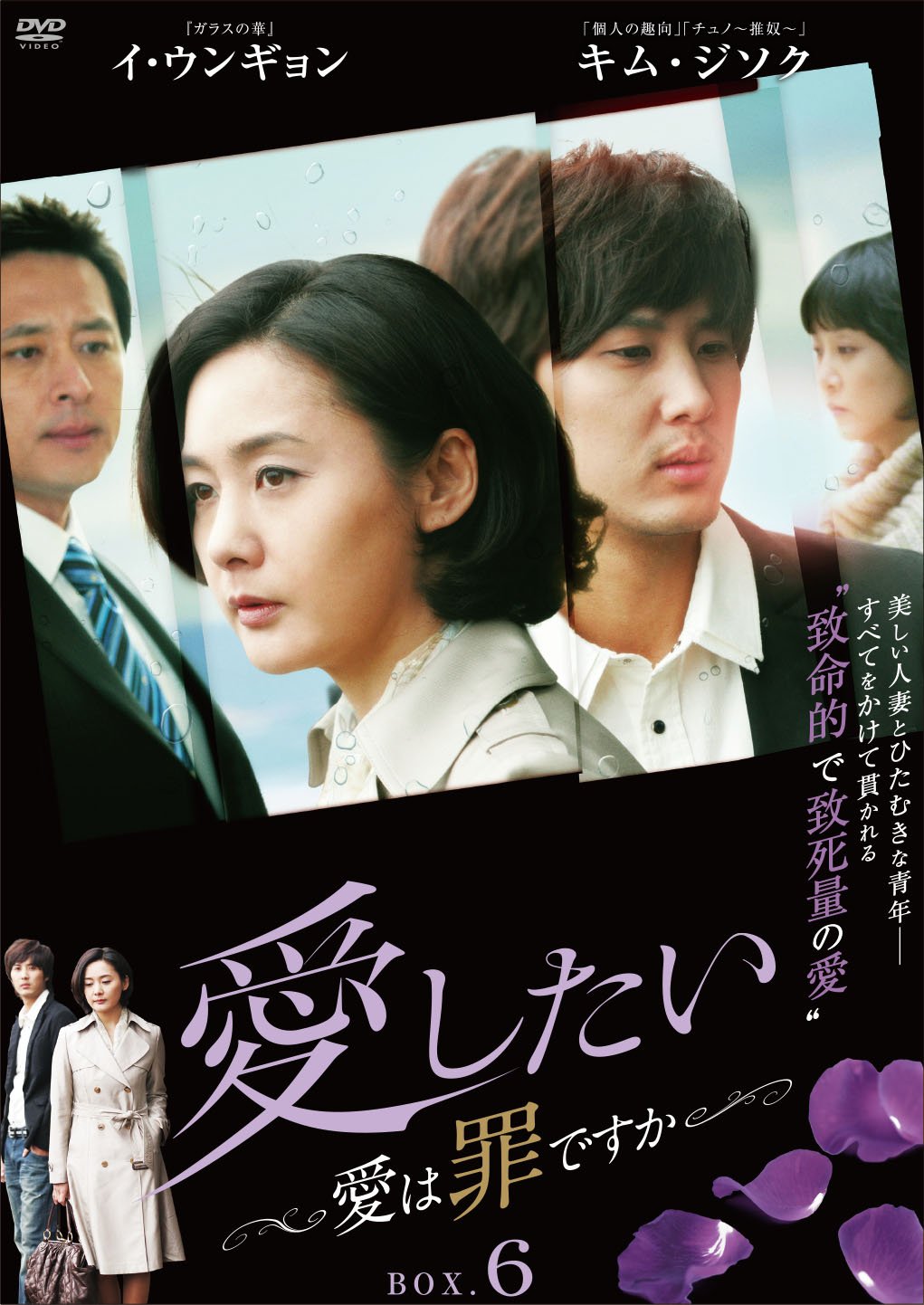 【中古】【非常に良い】愛したい ~愛は罪ですか~ DVD-BOX6