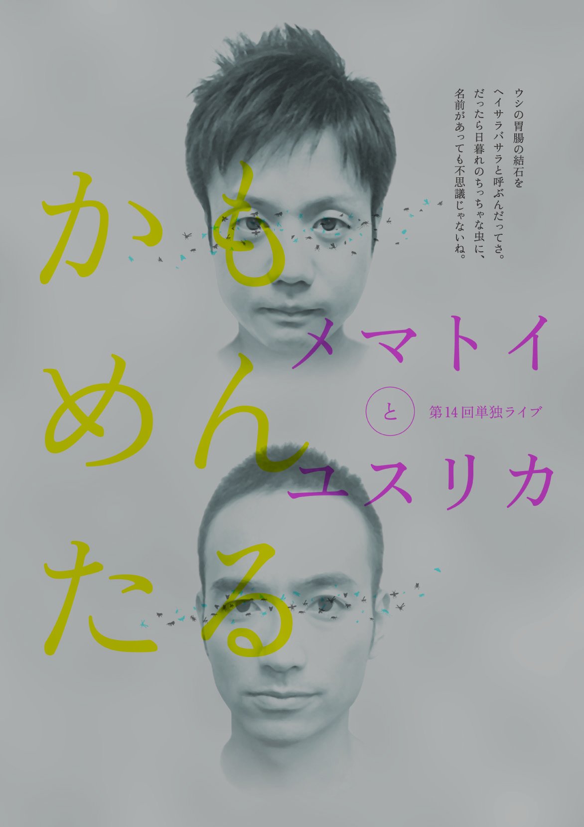 【中古】【非常に良い】かもめんたる単独ライブ「メマトイとユスリカ」 [DVD]｜ドリエムコーポレーション