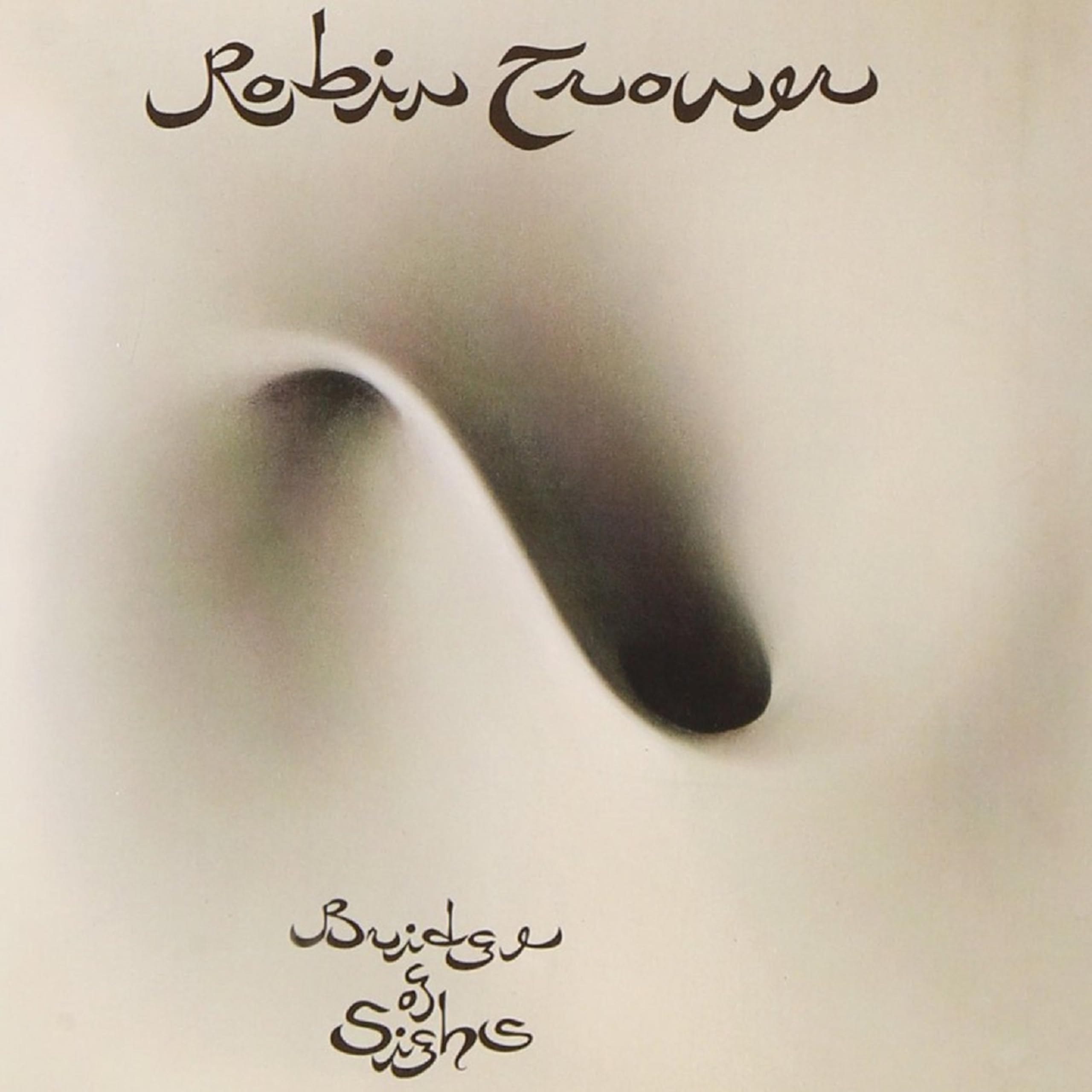 【中古】【非常に良い】Bridge of Sighs [Analog]｜ドリエムコーポレーション