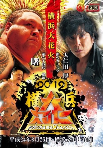 【中古】【非常に良い】PROWRESTLING ZERO1~2012横浜大花火~ [DVD]