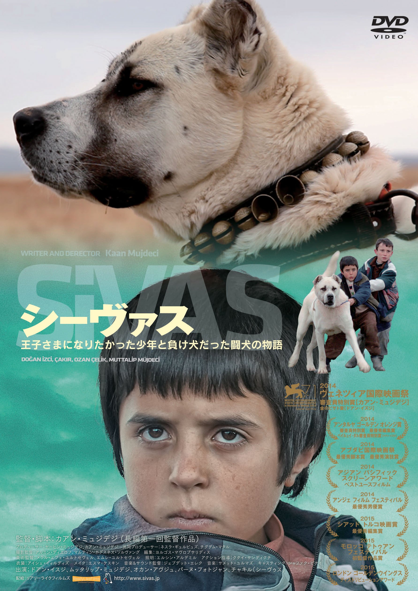 【中古】【非常に良い】シーヴァス SiVAS [DVD]