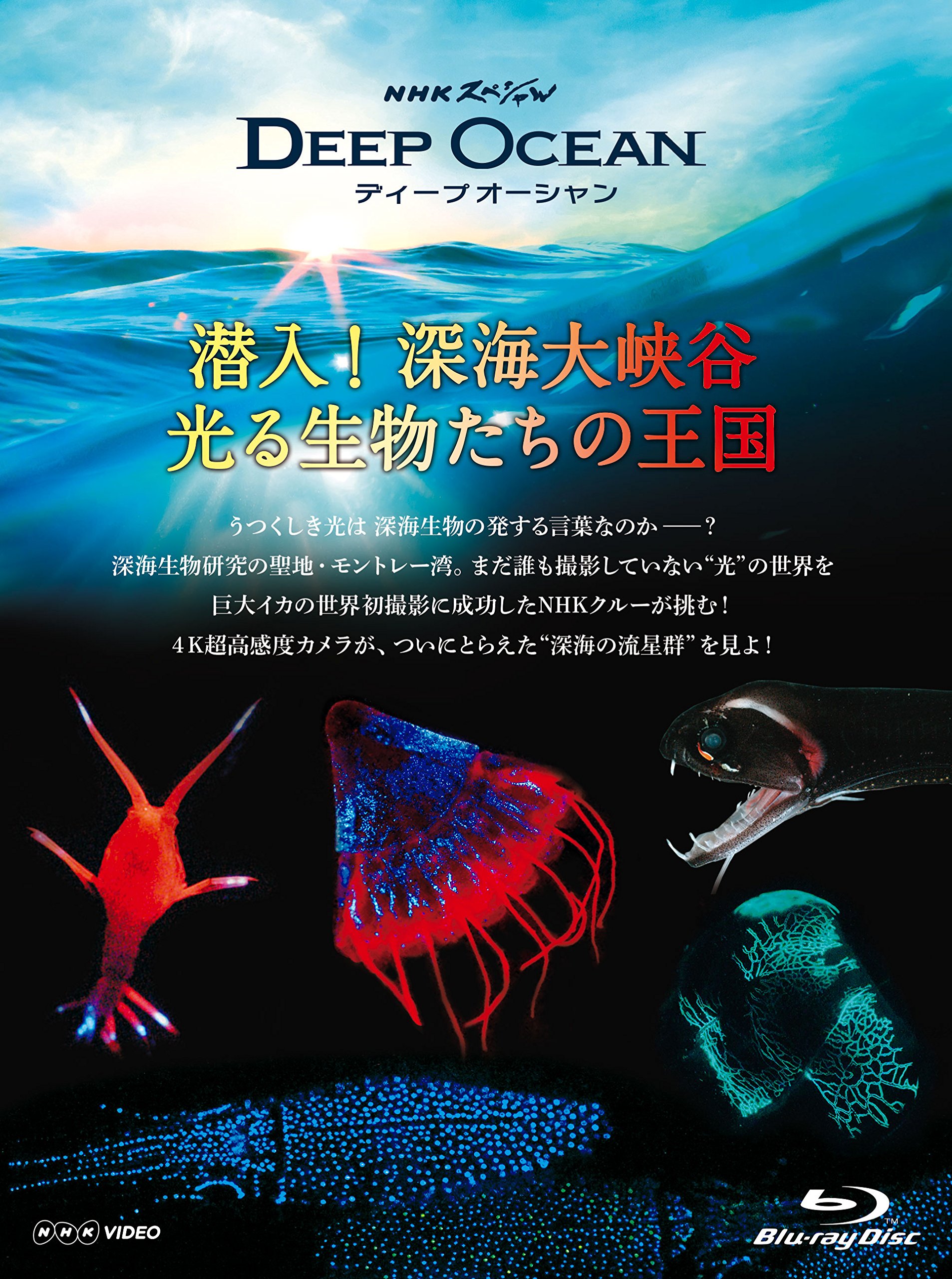 【中古】【非常に良い】NHKスペシャル ディープ オーシャン 潜入! 深海大峡谷 光る生物たちの王国 [Blu-ray]