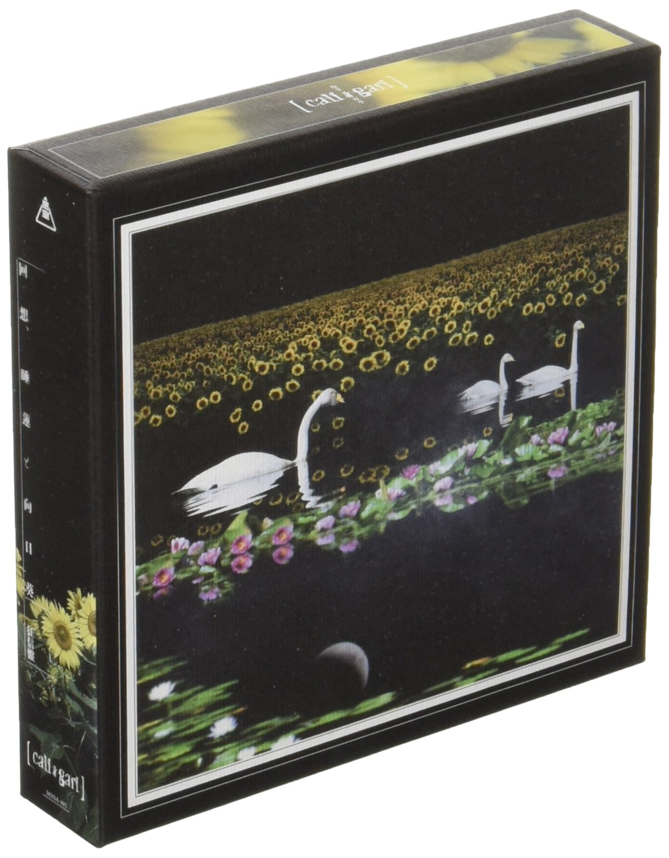 【中古】【非常に良い】「回想、睡蓮と向日葵」 狂信盤 [DVD]