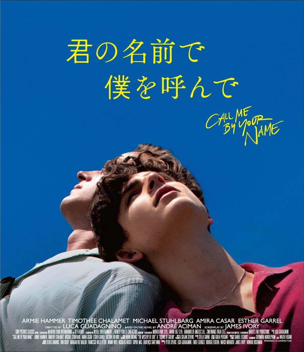 【中古】【非常に良い】君の名前で僕を呼んで コレクターズ・エディション () [Blu-ray]｜ドリエムコーポレーション