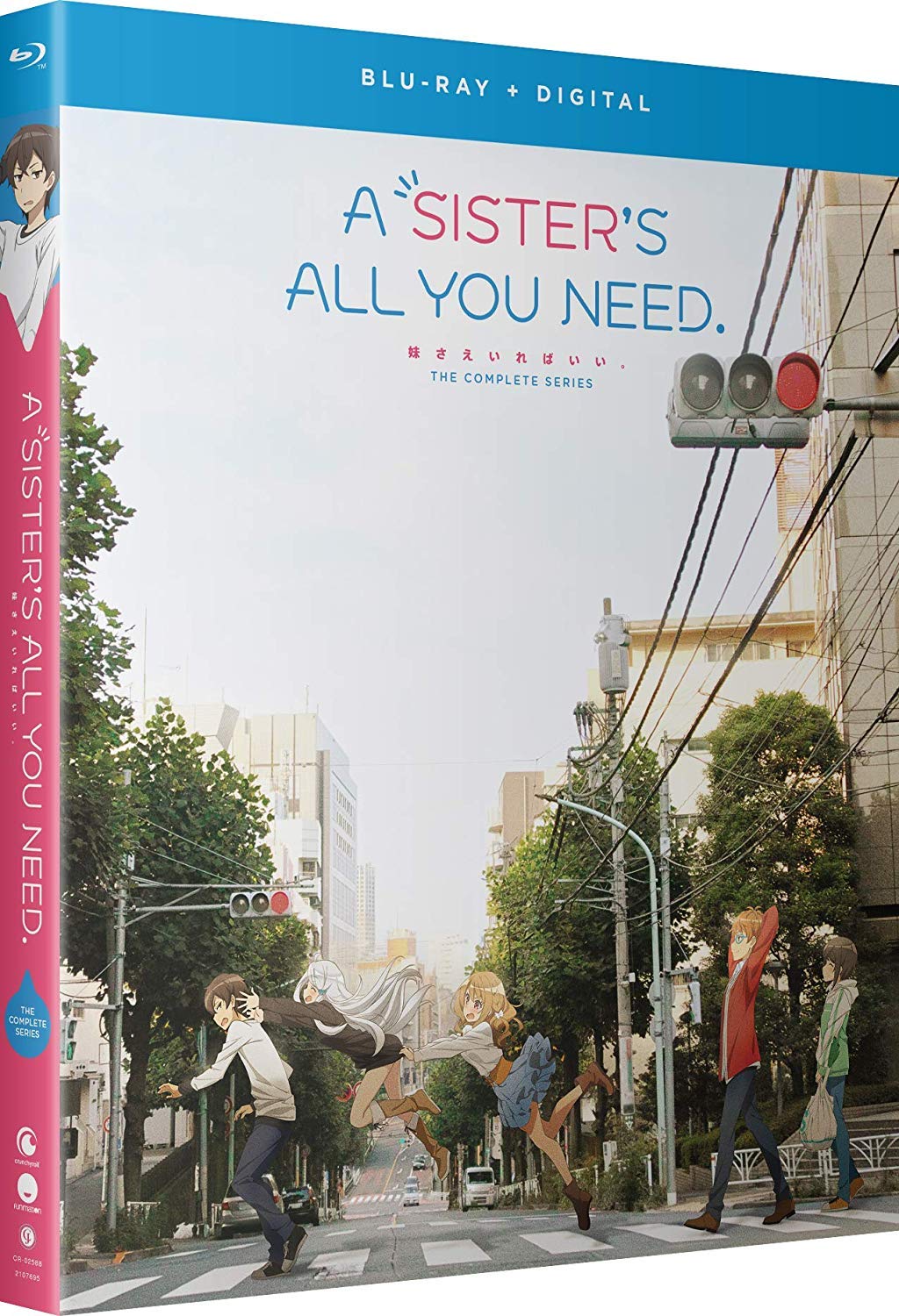 【中古】【非常に良い】A Sisters All You Need: The Complete Series [Blu-ray]｜ドリエムコーポレーション
