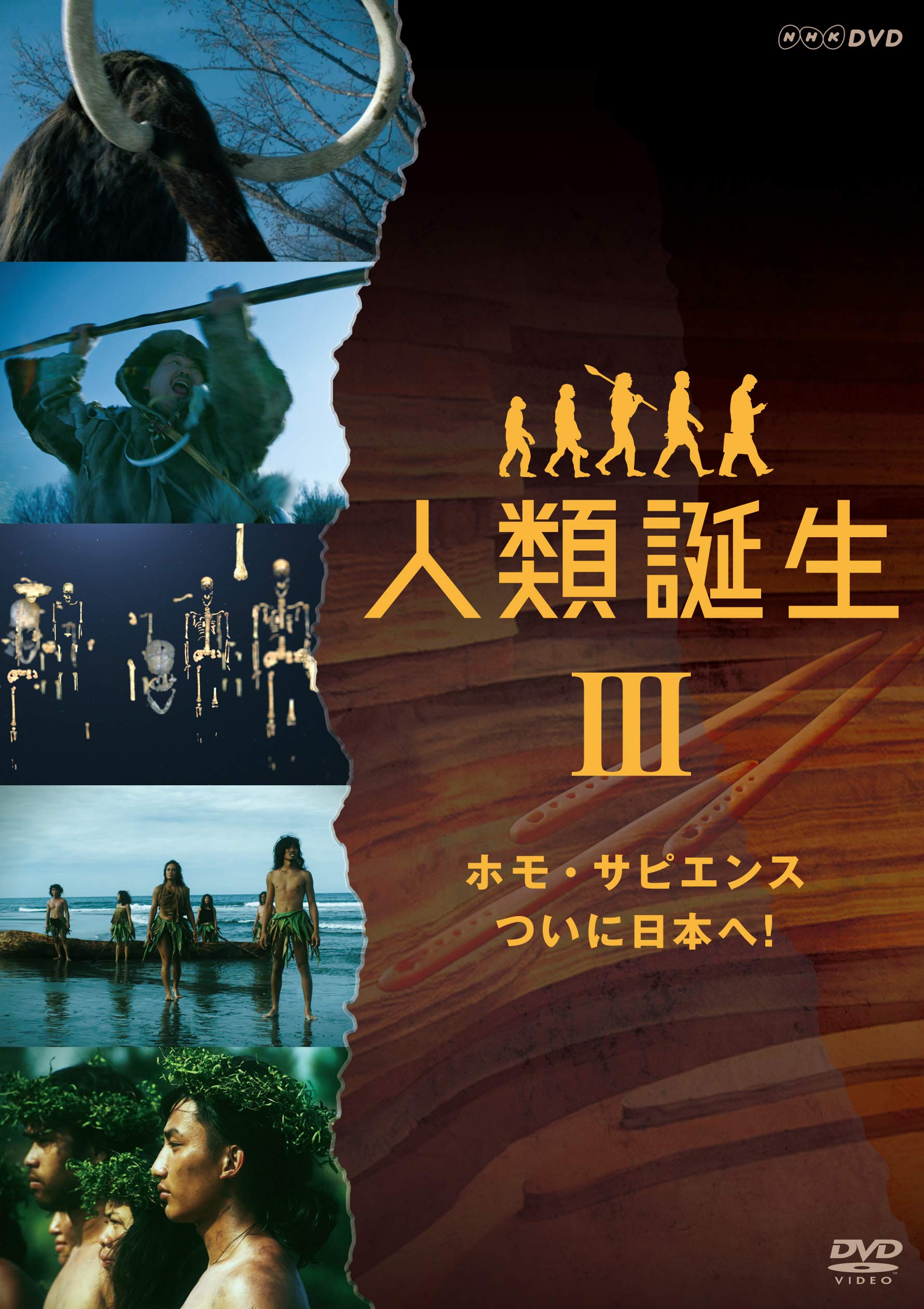 【中古】【非常に良い】NHKスペシャル 人類誕生 ホモ・サピエンス ついに日本へ! [DVD]