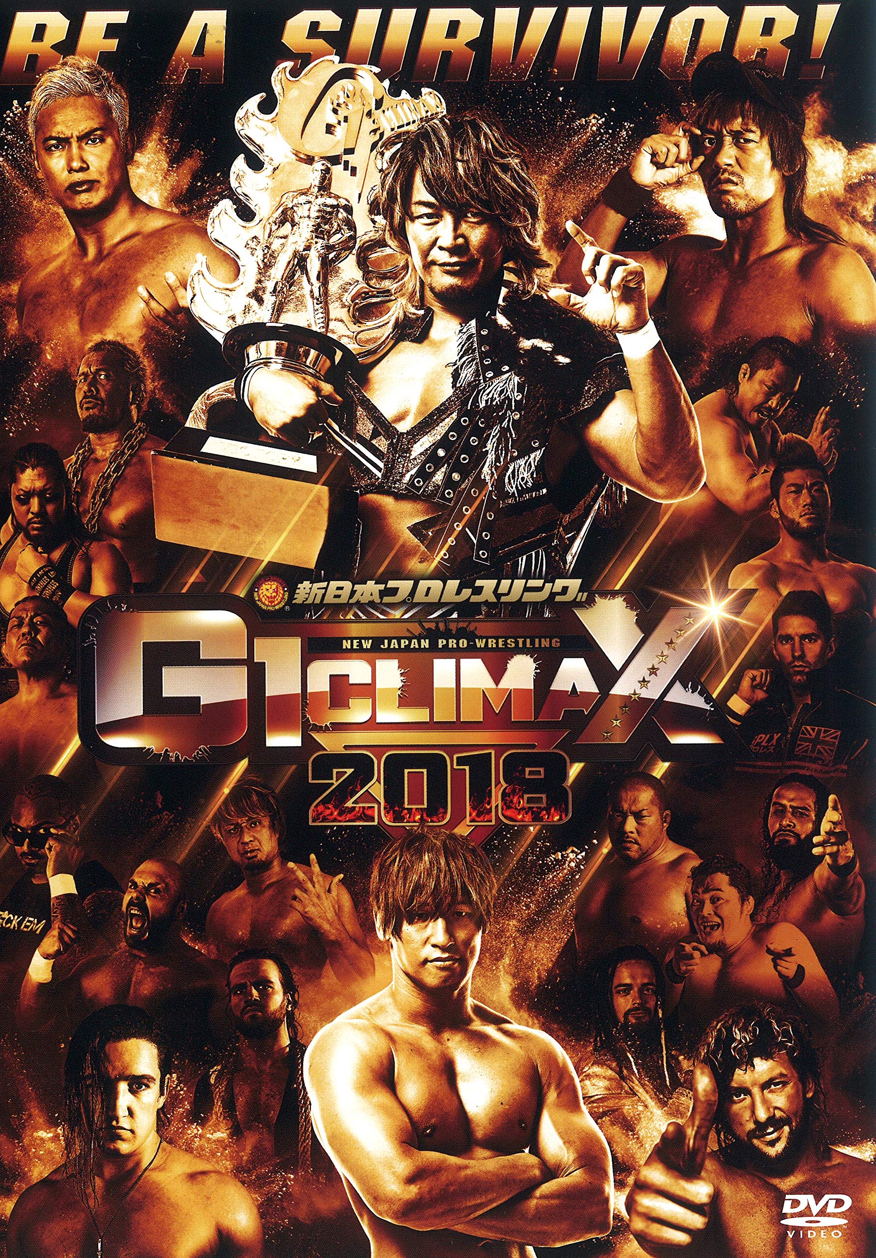 【中古】【非常に良い】G1 CLIMAX2018 [DVD] 28,882円