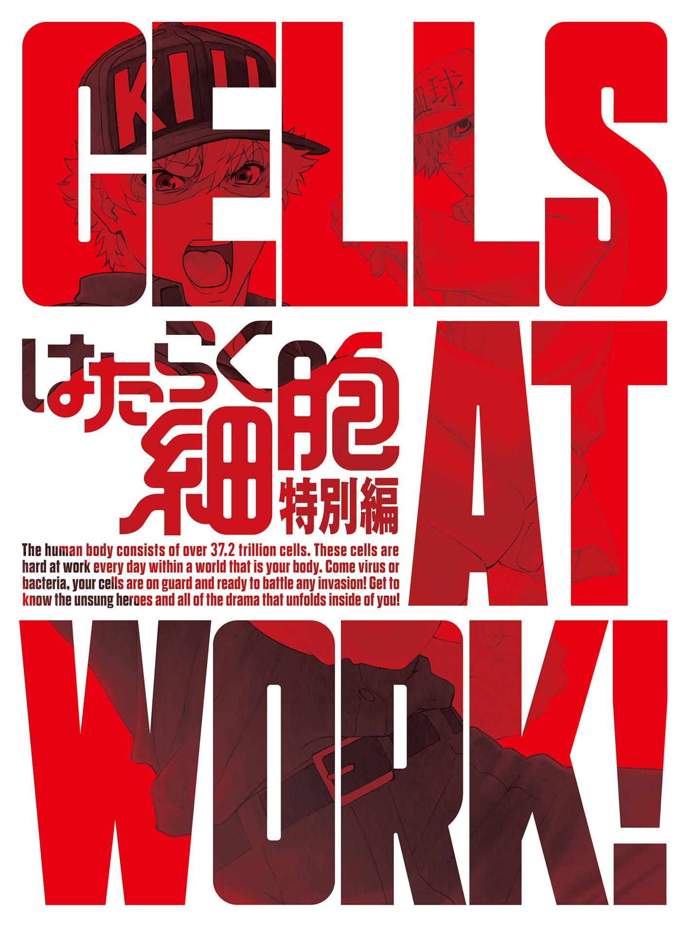 【中古】【非常に良い】はたらく細胞 特別編(完全生産限定版) [Blu-ray]