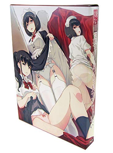 【中古】【非常に良い】嫌な顔されながらおパンツ見せてもらいたい [初回限定版]｜ドリエムコーポレーション