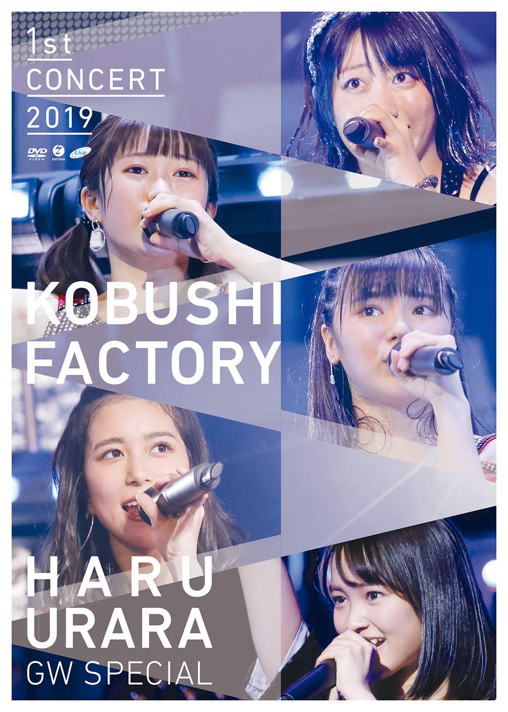 【中古】【非常に良い】こぶしファクトリー ファーストコンサート2019 春麗 ?GWスペシャル? (通常盤) (DVD) (特典なし)