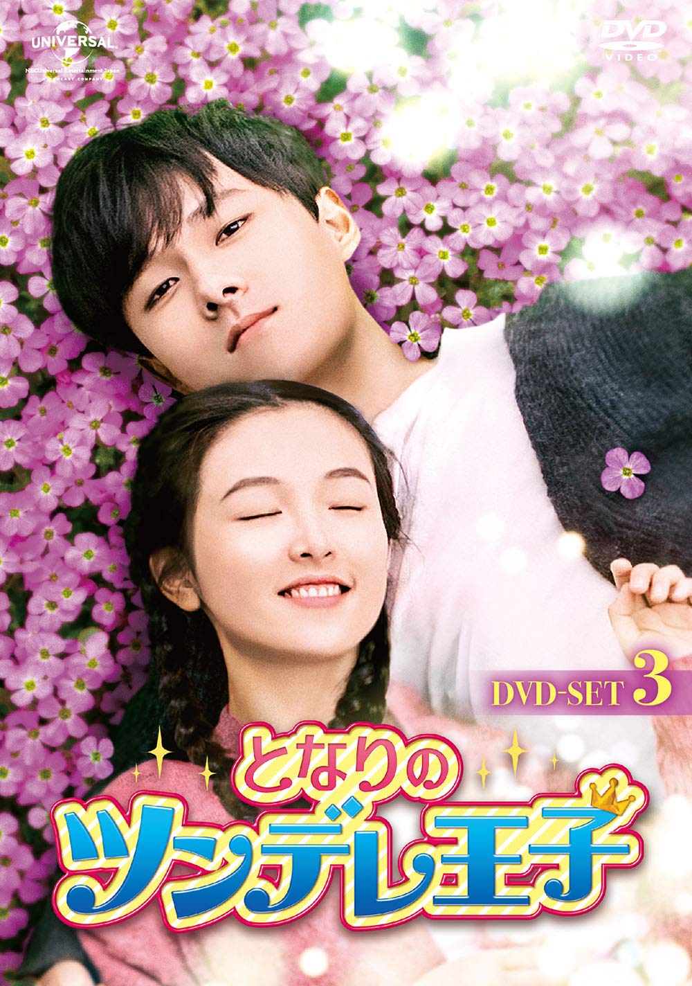【中古】【非常に良い】となりのツンデレ王子 DVD-SET3|ドリエムコーポレーション