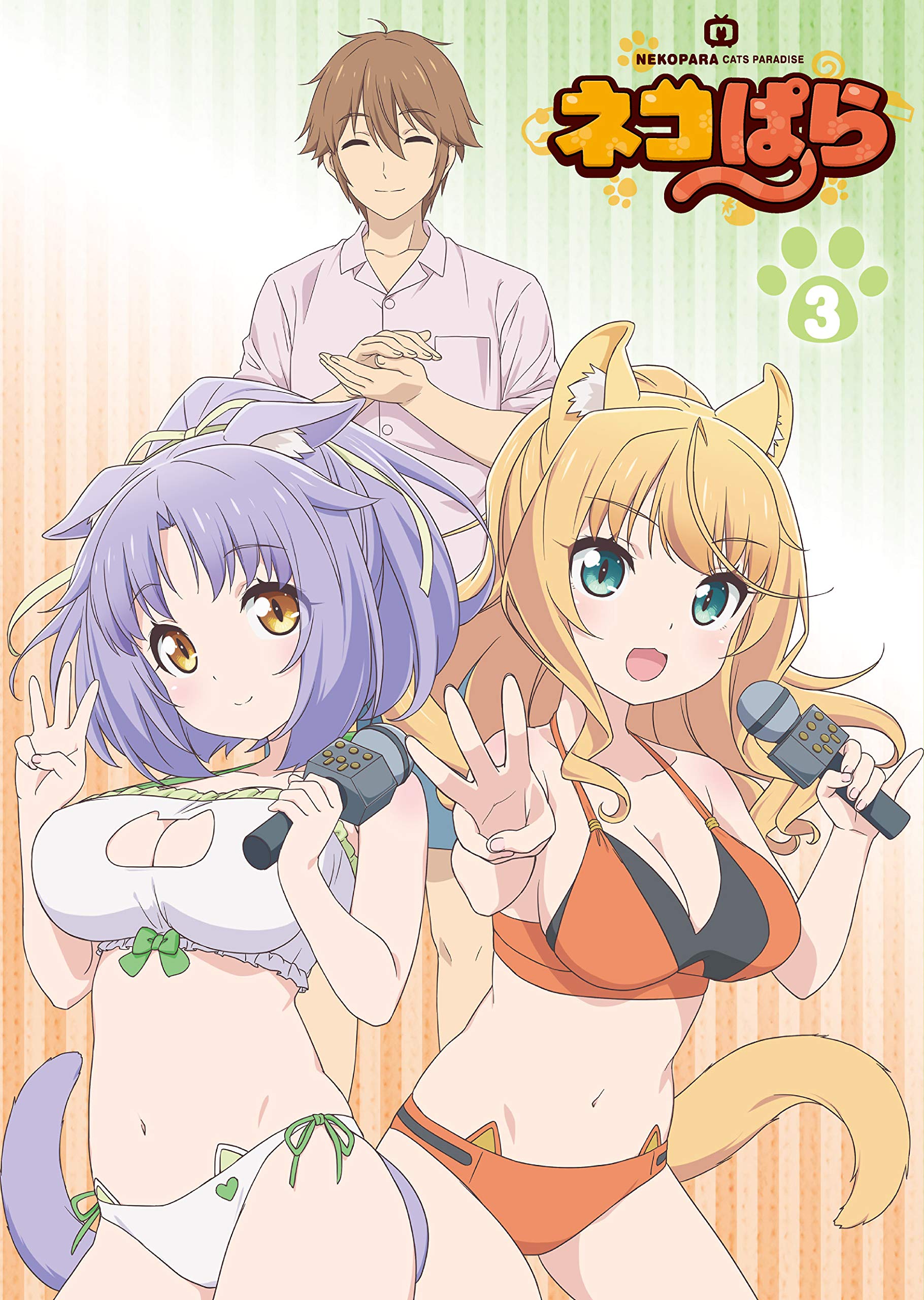 【中古】【非常に良い】TVアニメ「ネコぱら」Blu-ray BOX III｜ドリエムコーポレーション