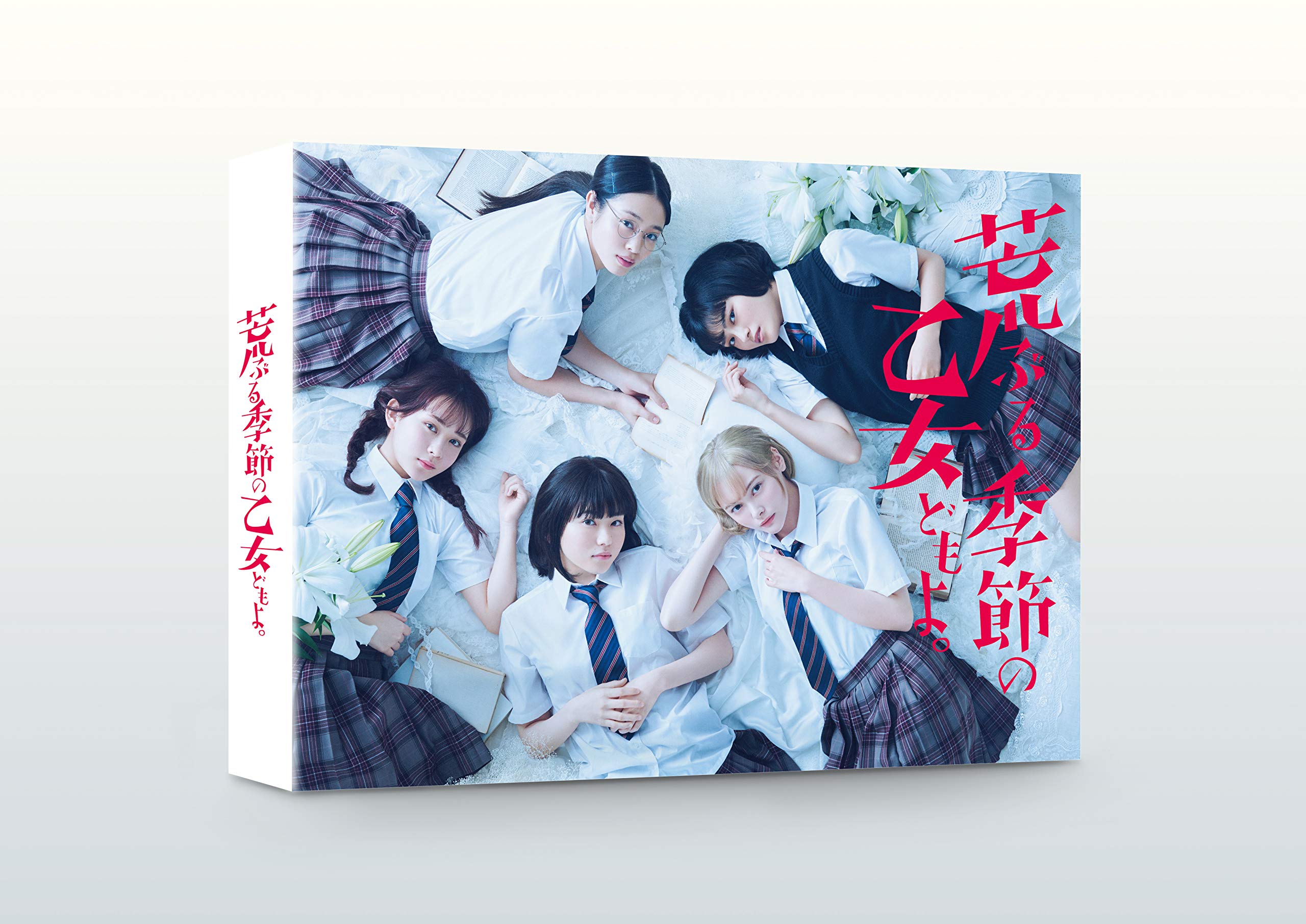 【中古】【非常に良い】「荒ぶる季節の乙女どもよ。」DVD-BOX｜ドリエムコーポレーション