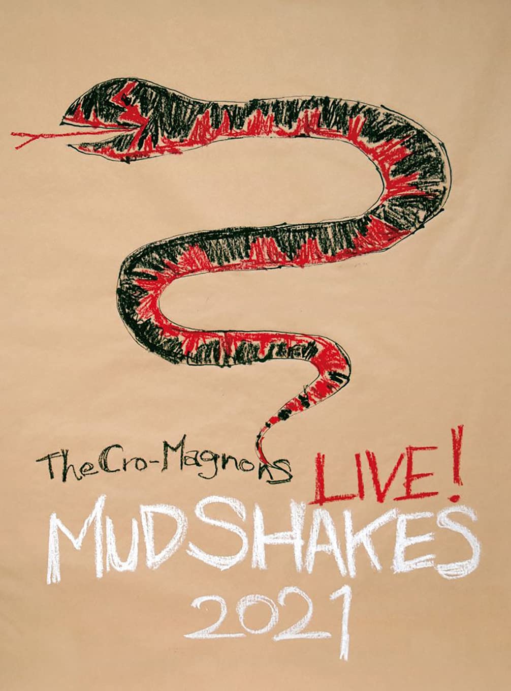 【中古】【非常に良い】ザ・クロマニヨンズ ライブ ! MUD SHAKES 2021 (盤) (DVD) (A4トートバッグ付)｜ドリエムコーポレーション 16,548円
