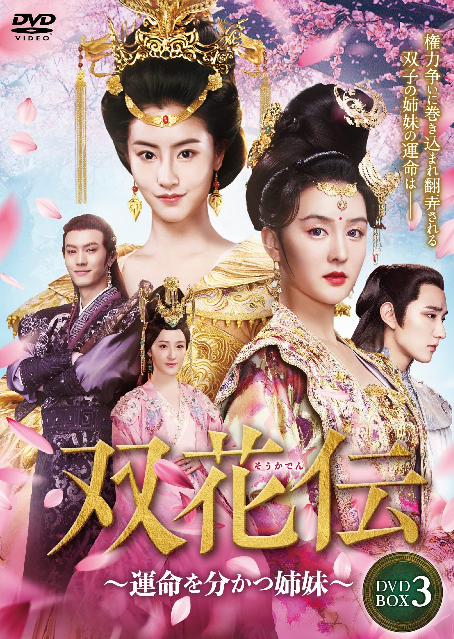 【中古】【非常に良い】双花伝 DVD-BOX3