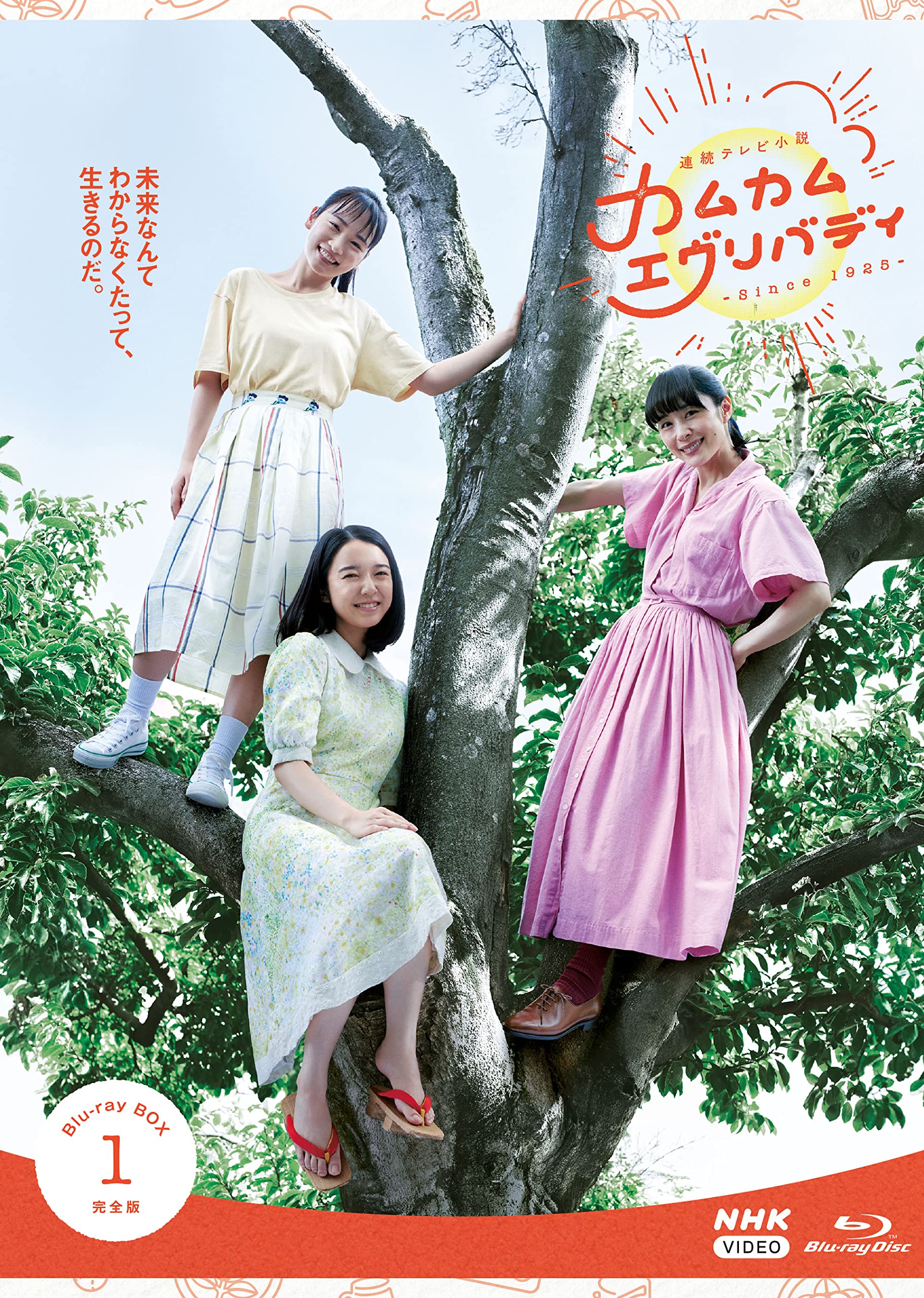 【中古】【非常に良い】連続テレビ小説 カムカムエヴリバディ 完全版 ブルーレイ BOX1 [Blu-ray]