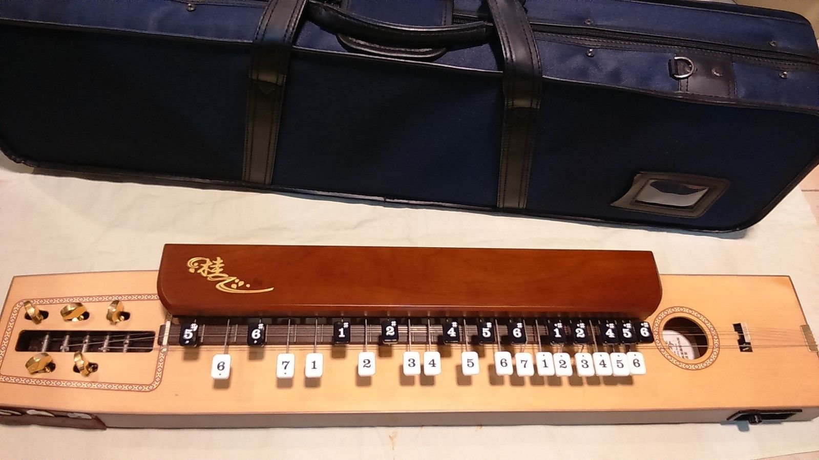 楽天市場】SUZUKI スズキ 電気大正琴 桂 かつら TAS-11 エレアコタイプ