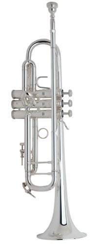 【中古】【非常に良い】ヴィンセント・バック(VINCENT・BACH) B♭トランペット 180ML37SP|ドリエムコーポレーション