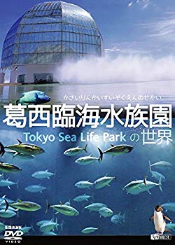 【中古】(未使用･未開封品)　シンフォレストDVD 葛西臨海水族園の世界 かさいりんかいすいぞくえんのせかい (全国流通版) f4u0baa