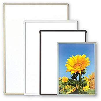 ナカバヤシ 木製書道額/半紙サイズ フ-CDW-122 1冊（直送品