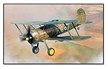 【中古】【非常に良い】メリットインターナショナル 1/48 イギリス空軍 グロスターグラディエーター Mk.II プラモデル ggw725x