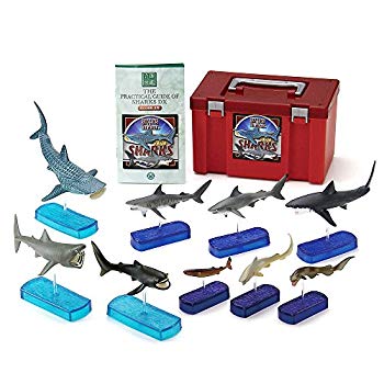 カロラータ 深海生物 フィギュア (立体図鑑) 魚 リアル フィギュアボックス [解説書/スタンド付き] 食品衛生法クリア 8種 dwos6rj Amazon | カロラータ 深海生物 立体図鑑 (ダイオウイカ タコ