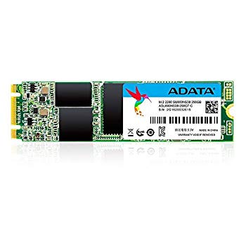 【中古】ADATA M.2 2280 SSD Ultimate SU800 シリーズ 256GB dwos6rj|ドリエムコーポレーション