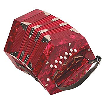 【中古】Trinity College AP-20?Diatonic アングロスタイル コンサルティーナ 20ボタン 2mvetro