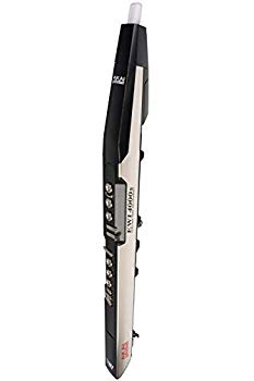 【中古】Akai Professional 管楽器 ワイヤレス ウィンドシンセサイザー EWI4000s追加音源版 bme6fzu｜ドリエムコーポレーション