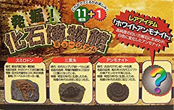 【中古】【非常に良い】発掘! 化石ミュージアム 砂の中の宝物 (化石フィギュア) qqffhab
