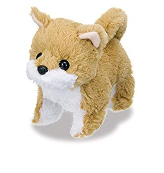 【中古】(未使用･未開封品)　あかちゃんシリーズ シバちゃん ぬいぐるみ kmdlckf