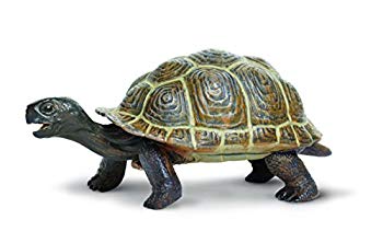 【中古】(未使用･未開封品)　サファリ レプリカ ガラパゴスゾウガメ(仔) gsx453j