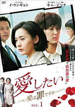 【中古】(未使用･未開封品)　愛したい ~愛は罪ですか~ DVD-BOX1 60wa65s