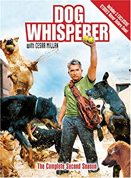 【中古】(未使用･未開封品)　Dog Whisperer With Cesar Millan: Comp Second [DVD] [Import] sdt40b8｜ドリエムコーポレーション