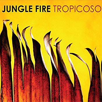 【中古】Tropicoso [12 inch Analog] d2ldlup｜ドリエムコーポレーション
