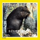 【中古】【非常に良い】小さな建築家ビーバー [DVD]