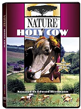 【中古】【非常に良い】Nature: Holy Cow [DVD]｜ドリエムコーポレーション