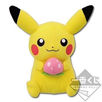 【中古】ポケモンわくわくゲットくじ ~草むら探検隊!~ E賞 ピカチュウ(ぬいぐるみ)