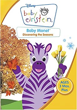 【中古】Baby Monet [DVD]