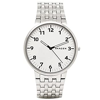 【中古】[スカーゲン] 腕時計 SKAGEN SKW6200 シルバー [並行輸入品]