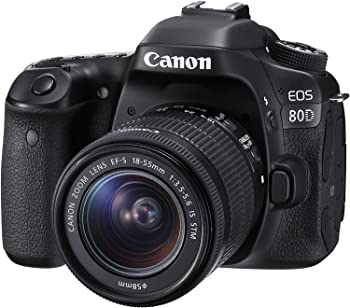 【中古】Canon デジタル一眼二眼レフ写真機 EOS 80D 水晶体一揃いの道具 EF-S18-55粍 F3.5-5.6 IS STM 属する EOS80D1855ISSTMLK